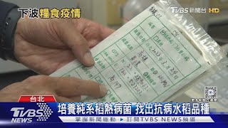 氣候變遷恐釀糧食危機 下一波全球大流行是作物病害? ｜十點不一樣20231226 @TVBSNEWS01