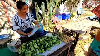 ແວ່ຊື້ອາຫານຕະຫຼາດບ້ານທາງແບ່ງ ເມືອງທ່າພະບາດ ແຂວງບໍລິຄຳໄຊ