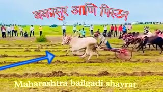 बकासुर ( सरपंच ) आणि पिस्टन 2211🔥💯 | bailgada sharyat  बैलगाडा शर्यत