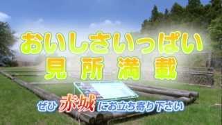 群馬県渋川市赤城の名観光スポット