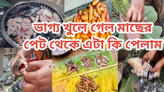 ভাগ্য খুলে গেল মাছের পেট থেকে এটা কি পাইলাম খুশিতে মাছ কেটে ভাগা দিলাম