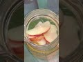 Apple Orange mint detox water weight loss / belly slimming detox water