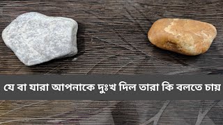 যে বা যারা আপনাকে দুঃখ দিল তারা কি বলতে চায়|#bengalitarotreading #viral #tarotscope #tarotcommunity