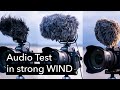 Audio Test with Four Microphones in Strong Wind | RØDE VideoMic Pro+