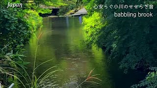 癒される自然の音/小さな川のせせらぎ/深い眠り/南阿蘇村・白川/natural healing sound/for sleep/Japan