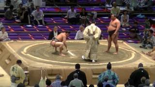 大相撲.2016.7.15⑲/剛竜(goryu)-大波(onami) /nagoya Basho/day 6 #sumo