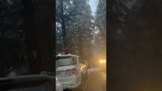 Heavy snowfall in Dalhousie ❄️ #dalhousie #himachal #snow #snowfall