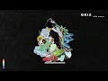 Cruise Control - GRiZ (ft. BXRBER) (Official Audio)