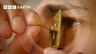 The Gadget That Changed How We See The World | Cell | BBC Earth Science