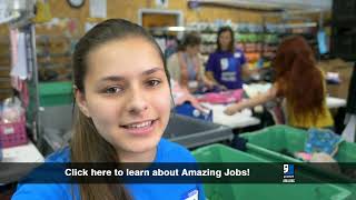 Goodwill Careers - Amazing jobs 10