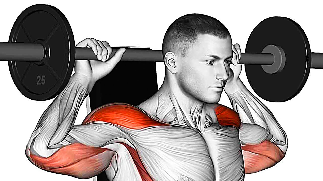 The Best Shoulder Exercises (Barbell-Dumbbell Only) - YouTube