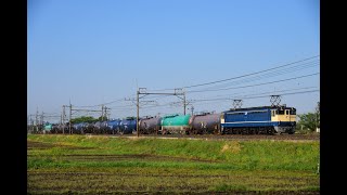 ヒガハスを行き交うEF65・EH500貨物列車