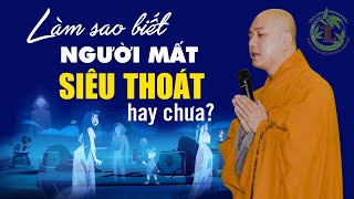 Làm sao biết người mất đã Siêu Thoát hay chưa? (rất quan trọng) - Vấn đáp Thầy Thích Pháp Hòa