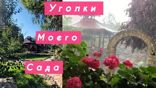 Мой небольшой сад(уголки моего сада)