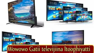 Gatii Televijiinaa Itoophiyaatti; kan bara 2013