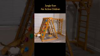 Indoor Jungle Gym for Toddlers [Avenlur]