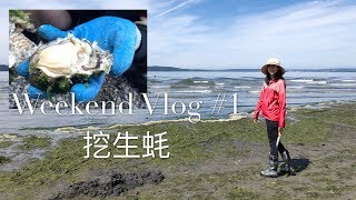 😄周末vlog#1 | 西雅图周末一日游 | 海滩生蚝现挖现吃