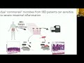 Illuminating the ‘Dark Matter’ of the Bioactive Microbiota Metabolome