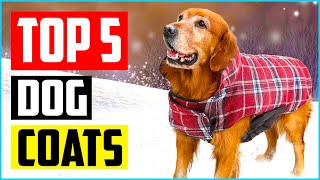 Top 5 Best Waterproof Dog Coats in 2022 Reviews