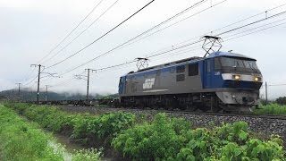 JR貨物　EF210-12号機　2075レ　2016年6月13日 【山陽本線・瀬戸～上道間】