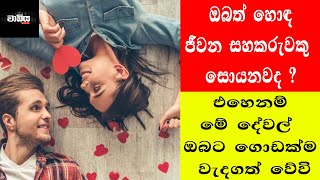 ඔබත් හොද සහකරුවකු සොයනවද ?  එහෙනම් මේ දෙවලුත් දැන ගන්න - wadiya