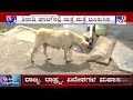 landslide in shiradi ghat ಶಿರಾಡಿಘಾಟ್​ನಲ್ಲಿ ಮತ್ತೆ ಮತ್ತೆ ಭೂ ಕುಸಿತ