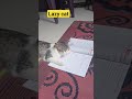 Cat trying to study || Jolly the cat || Brilliant cat || famous cat || Jolly billa