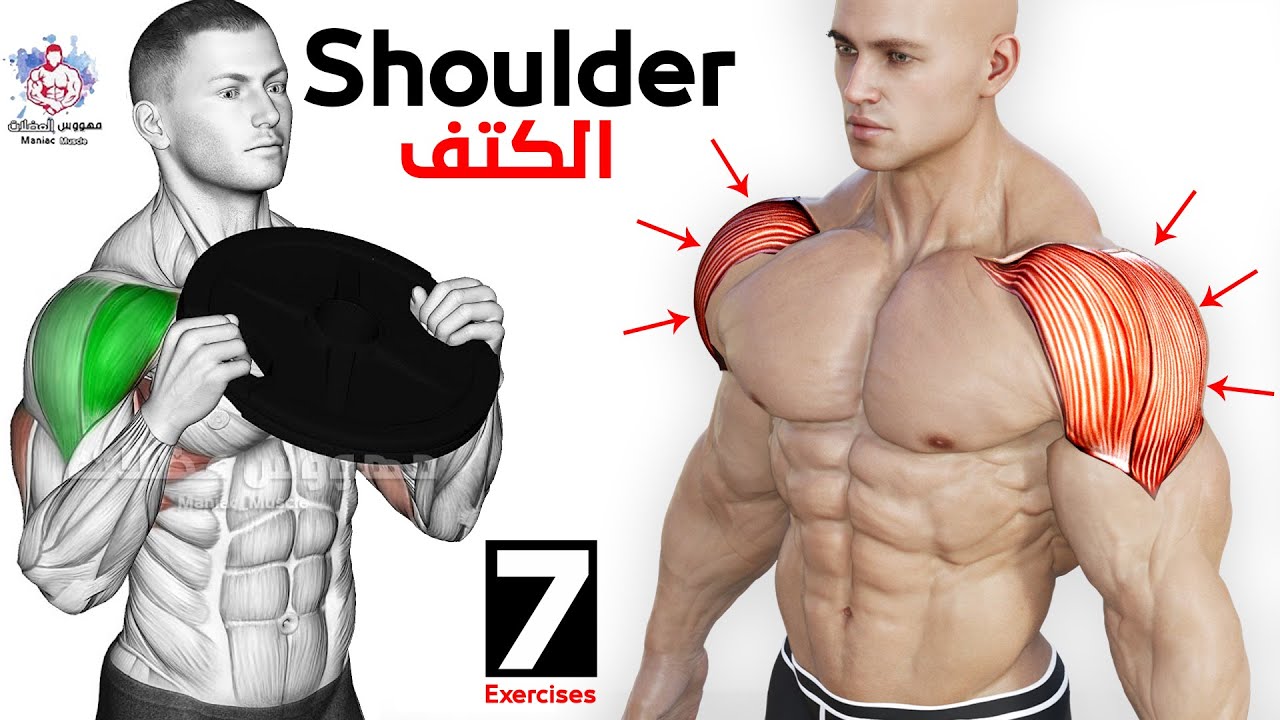 How To Build Your Shoulder Fast (7 Effective Exercises)-تمارين الكتف