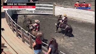 SERIE DE YEGUAS / RODEO INTER-ASOCIACIONES / CLUB RÍO NEGRO -ASOCIACION OSORNO.