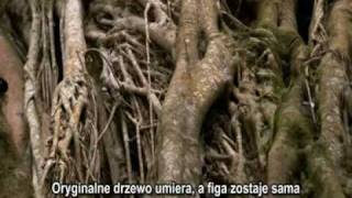 Geniusz Karola Darwina - Część druga 2/5