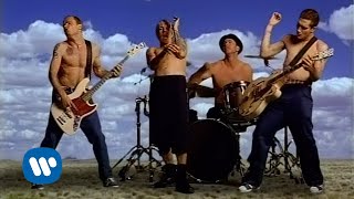 Download Lagu Red Hot Chili Peppers Californication... MP3 Gratis