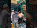 Idul Adha Hewan qurban terbanyak di Masjid Jogokariyan