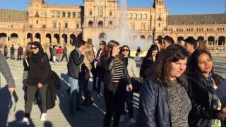 Llegada alumnos internacionales a la Universidad Loyola Andalucía