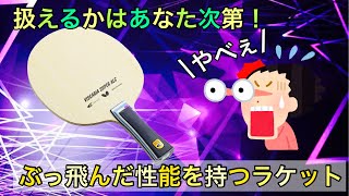 【驚愕】ぶっ飛んだ性能を持つラケット３選