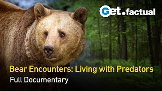 Bears on the Rise | Full Wildlife Documentary