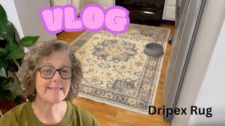 DRIPEX Rug | Vlog | Shopping