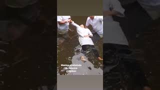 Menina é arrebatada após seu batismo nas águas 2020 - Terra Santa - Link completo na descrição