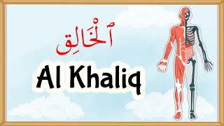 Allah's Names - Al Khaliq (11)