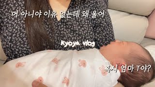 vlog * 육아 브이로그 | 조리원 퇴소 그 이후 이 정도면 순한맛 육아 맞나요? | 신생아 얼굴 붓기 변화, 신생아 목욕, 쪽쪽이, 브레짜 스팀소독기 사용후기, 산후도우미 후기