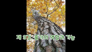 (공부합시다)  4강 줄기 -  역할과 기능