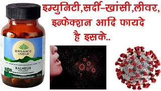 Kalmegh Capsule Benefits, Dosage, Side Effects | Organic India Kalmegh (Andrographis)✅