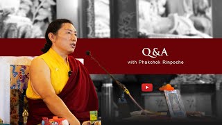 Q&A with Kyabgön Phakchok Rinpoche