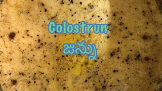 బెల్లం జున్ను చాలా సులభంగా చేసుకునే  instant junnuColostrum.Kamdhenu vari product. ఎలా చేయాలో చూడండి