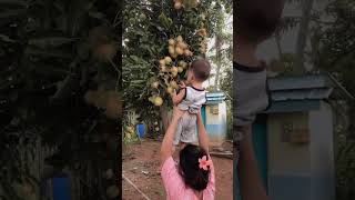 Arka lagi metik rambutan #shorts #arka #lagi #metik #rambutan #cute #gemes #trending #viralshort