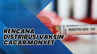 Distribusi Vaksin Cacar Monyet Hanya untuk Warga Berisiko Tinggi, Menkes Berikan Penjelasannya