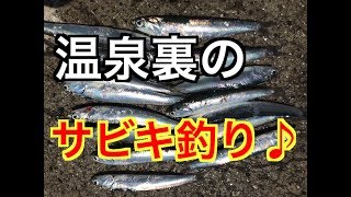 温泉裏【サビキ】調査！fishingmax垂水店2019/05/24