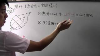 【中１　理科】　　１－７（旧）　光合成の実験②