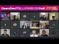 opendev core polkadot call nov 2024