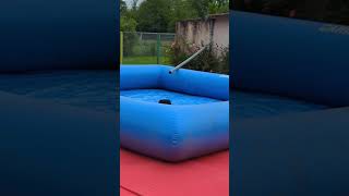 Remplir une piscine en 5 secondes  (👆La vidéo entière👆) #chien #humour #shorts #animaux #pets #funny