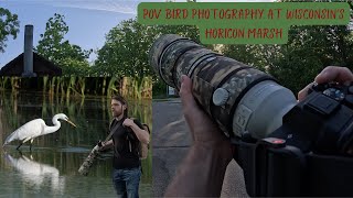 POV Bird Photography at Wisconsin's Horicon Marsh